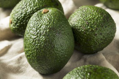 Ham organik yeşil olgunlaşmamış bir yığın avokado
