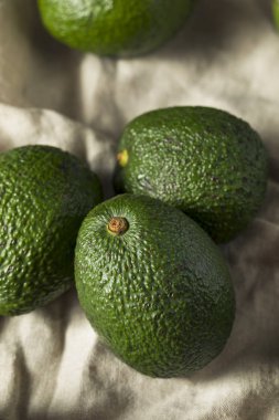 Ham organik yeşil olgunlaşmamış bir yığın avokado