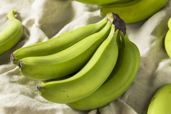 Nyers Szerves Zöld Éretlen Banán Egy Csomó — Stock Fotó