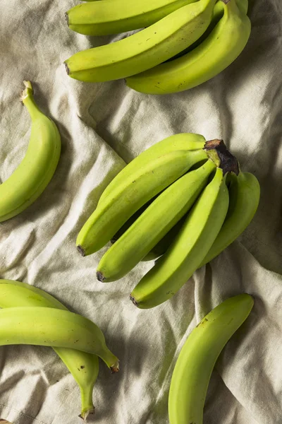 Органические Зеленые Незрелые Бананы Пучке — стоковое фото