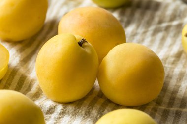 Çiğ sarı organik Angelcot kayısı yemeye hazır