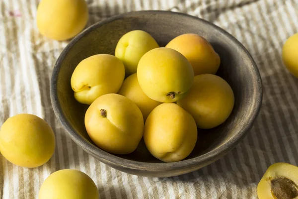 Meruňky Syrové Žluté Organických Angelcot Připravené Jídlu — Stock fotografie
