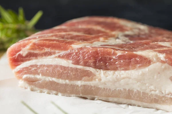 Raw Οργανικό Κοιλιά Χοιρινό Κρέας Αλάτι Και Πιπέρι — Φωτογραφία Αρχείου