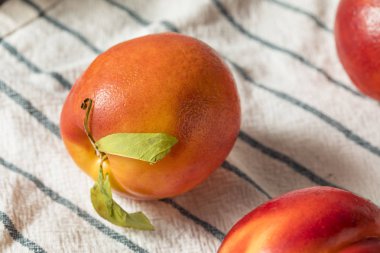 Tatlı organik olgun sarı nektarin yemeye hazır