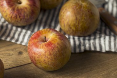 Organik kırmızı Pluots yemeye hazır tasarlamak