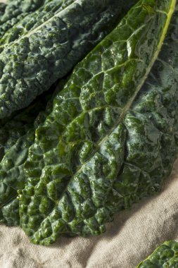 Cook çiğ yeşil organik Lacinato Kale hazır