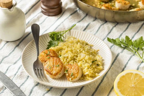 Vieiras Panned Seared Caldo Listo Para Comer —  Fotos de Stock