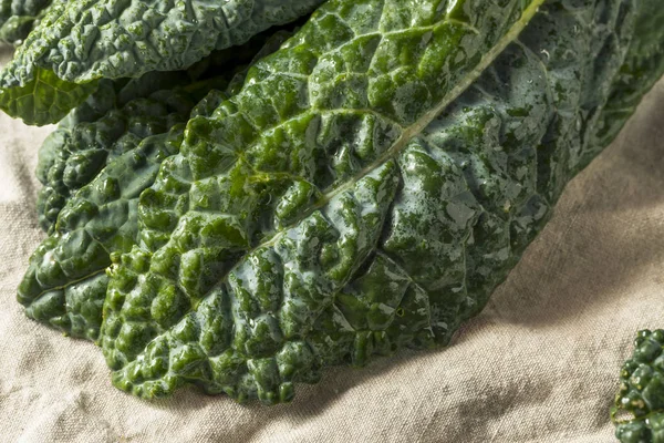 Raw Green Organic Lacinato Kale Ready Cook — Stock Photo, Image