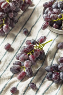 Ham organik mor üzüm yemeye hazır