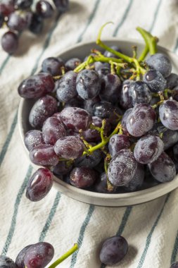 Ham organik mor üzüm yemeye hazır