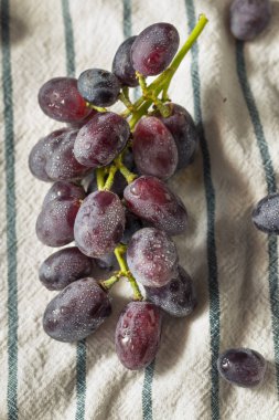 Ham organik mor üzüm yemeye hazır