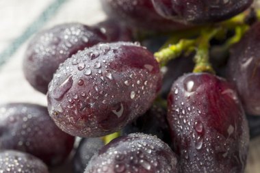 Ham organik mor üzüm yemeye hazır