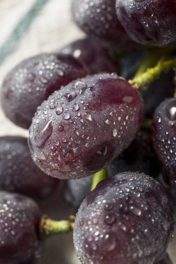 Ham organik mor üzüm yemeye hazır