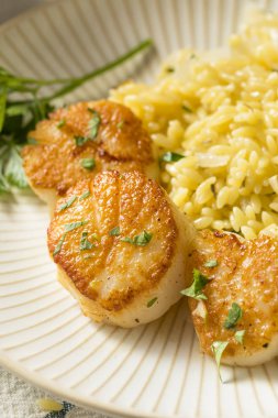 Et suyu, kurutulmuş tarak panned yemeye hazır