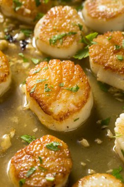Panned Seared Scallops in Broth Ready to Eat clipart
