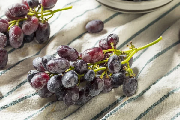 Raw Organic Purple Grapes Ready to Eat