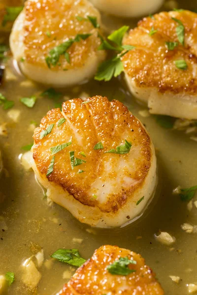 Panned Seared Scallops Broth Ready Eat — Stock Photo, Image