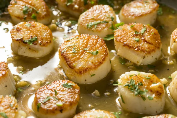 Panned Seared Scallops Broth Ready Eat — Stock Photo, Image