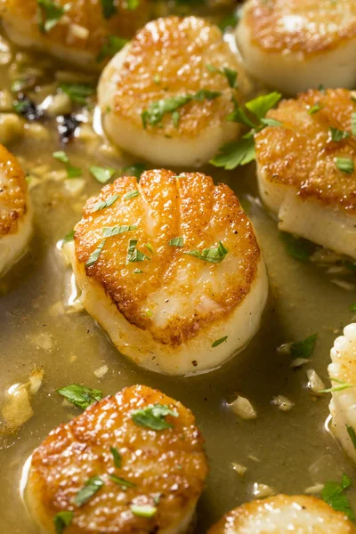 Panned Seared Scallops Broth Ready Eat — Stock Photo, Image