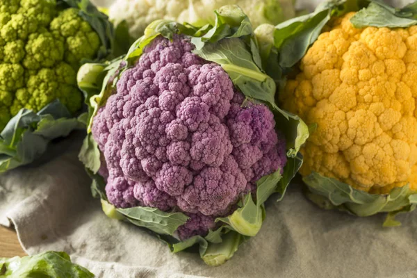 Rauwe Biologische Multi Gekleurde Bloemkool Ready Cook — Stockfoto