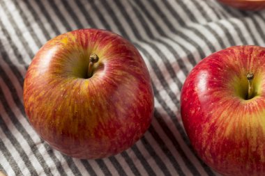 Çiğ kırmızı organik Kiku elma yemeye hazır