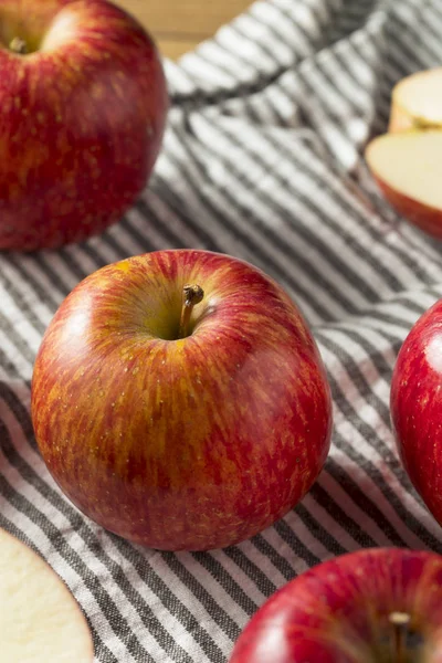 Сирі Червоні Органічні Яблука Кіку Готові Їсти — стокове фото