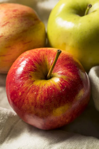 Manzanas Orgánicas Crudas Listas Para Comer — Foto de Stock