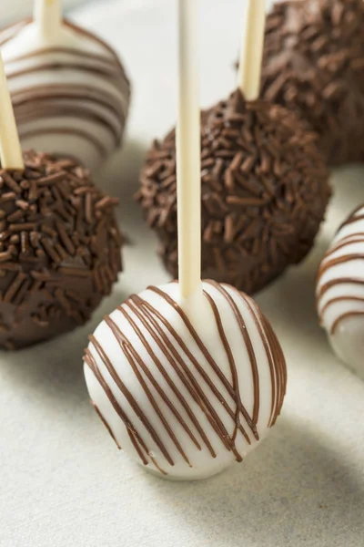 Süße Hausgemachte Schokolade Und Vanille Cake Pops Auf Einem Teller — Stockfoto