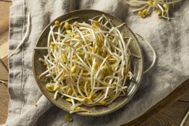 Bir kase içinde ham organik soya fasulye filizi