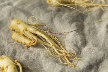 Ham organik sağlıklı Ginseng Kök hazır kullanım için