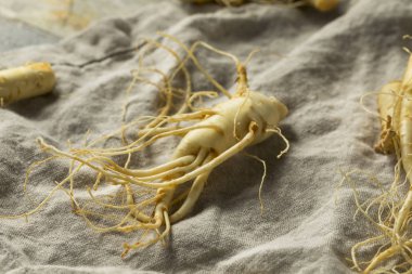 Ham organik sağlıklı Ginseng Kök hazır kullanım için