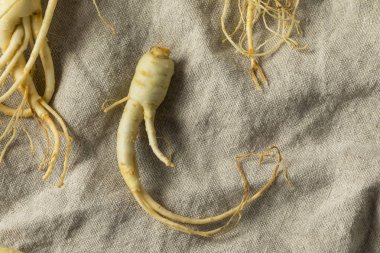 Ham organik sağlıklı Ginseng Kök hazır kullanım için