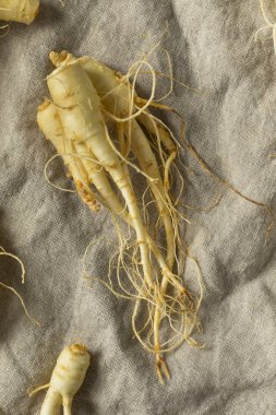 Ham organik sağlıklı Ginseng Kök hazır kullanım için