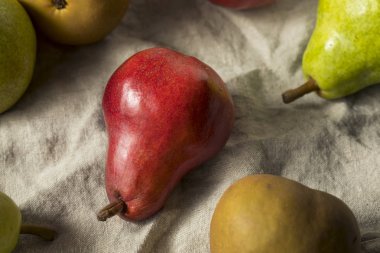 Ham organik muhtelif armut yemeye hazır