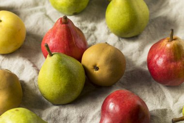 Ham organik muhtelif armut yemeye hazır