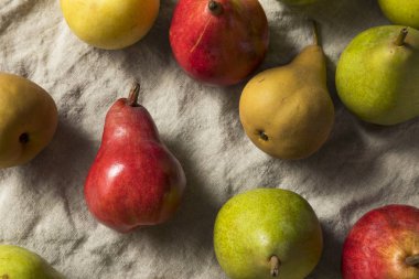 Ham organik muhtelif armut yemeye hazır