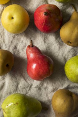 Ham organik muhtelif armut yemeye hazır