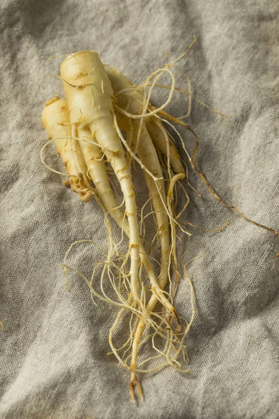 Raw Ekologiskt Sund Ginseng Root Redo Att Använda — Stockfoto