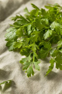 Organik düz yaprak maydanoz bir grup