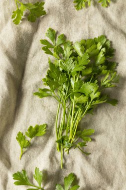Organik düz yaprak maydanoz bir grup