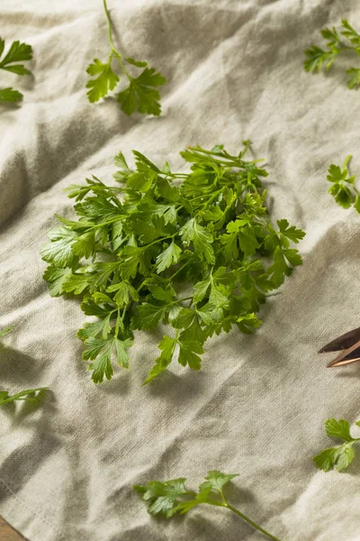 Organische Flache Blatt Italienische Petersilie Einem Bund — Stockfoto