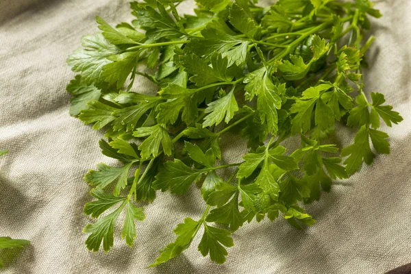 Organic Flat Leaf Italian Parsley in a Bunch