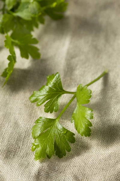 Organic Flat Leaf Italian Parsley in a Bunch