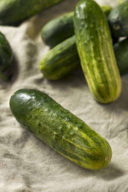 Ham organik yeşil salatalık dekapaj yemeye hazır