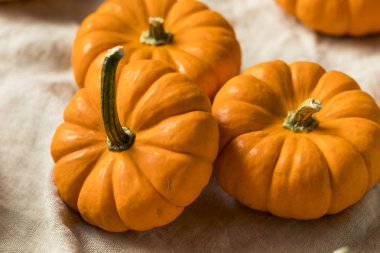 Ham organik portakal Mini Pumpkins bir grup