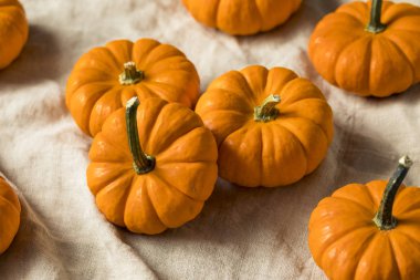 Ham organik portakal Mini Pumpkins bir grup