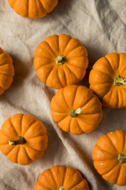 Ham organik portakal Mini Pumpkins bir grup