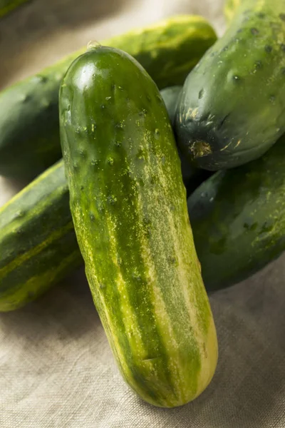 Pepinos Decapagem Verdes Orgânicos Crus Prontos Para Comer — Fotografia de Stock