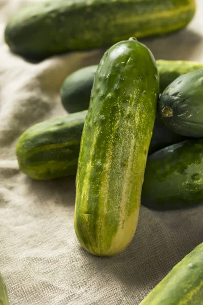 Rauwe Biologische Groene Komkommers Beitsen Klaar Eten — Stockfoto