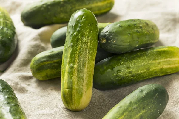 Pepinos Decapagem Verdes Orgânicos Crus Prontos Para Comer — Fotografia de Stock